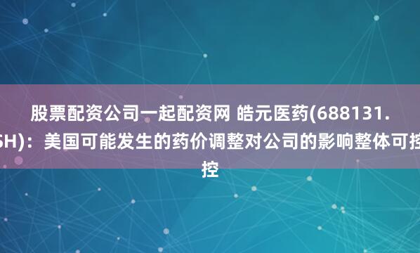 股票配资公司一起配资网 皓元医药(688131.SH)：美国可能发生的药价调整对公司的影响整体可控