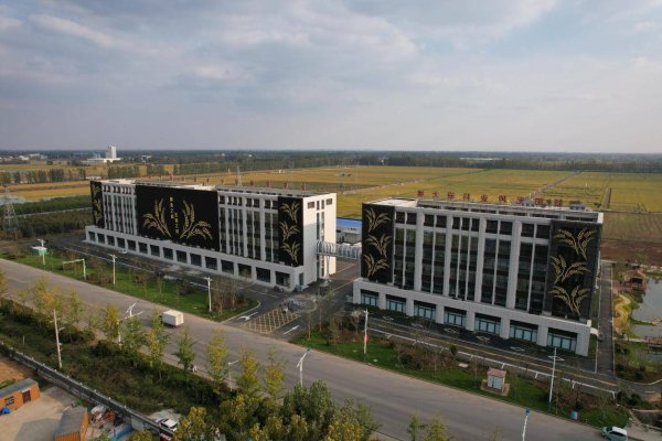 股票网上配资平台 农发行山东省分行：执“绿色金融”之笔 绘就临沂乡村振兴新蓝图