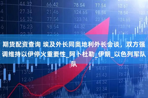 期货配资查询 埃及外长同奥地利外长会谈，双方强调维持以伊停火重要性_阿卜杜勒_伊朗_以色列军队